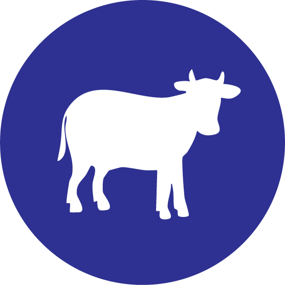 Veal