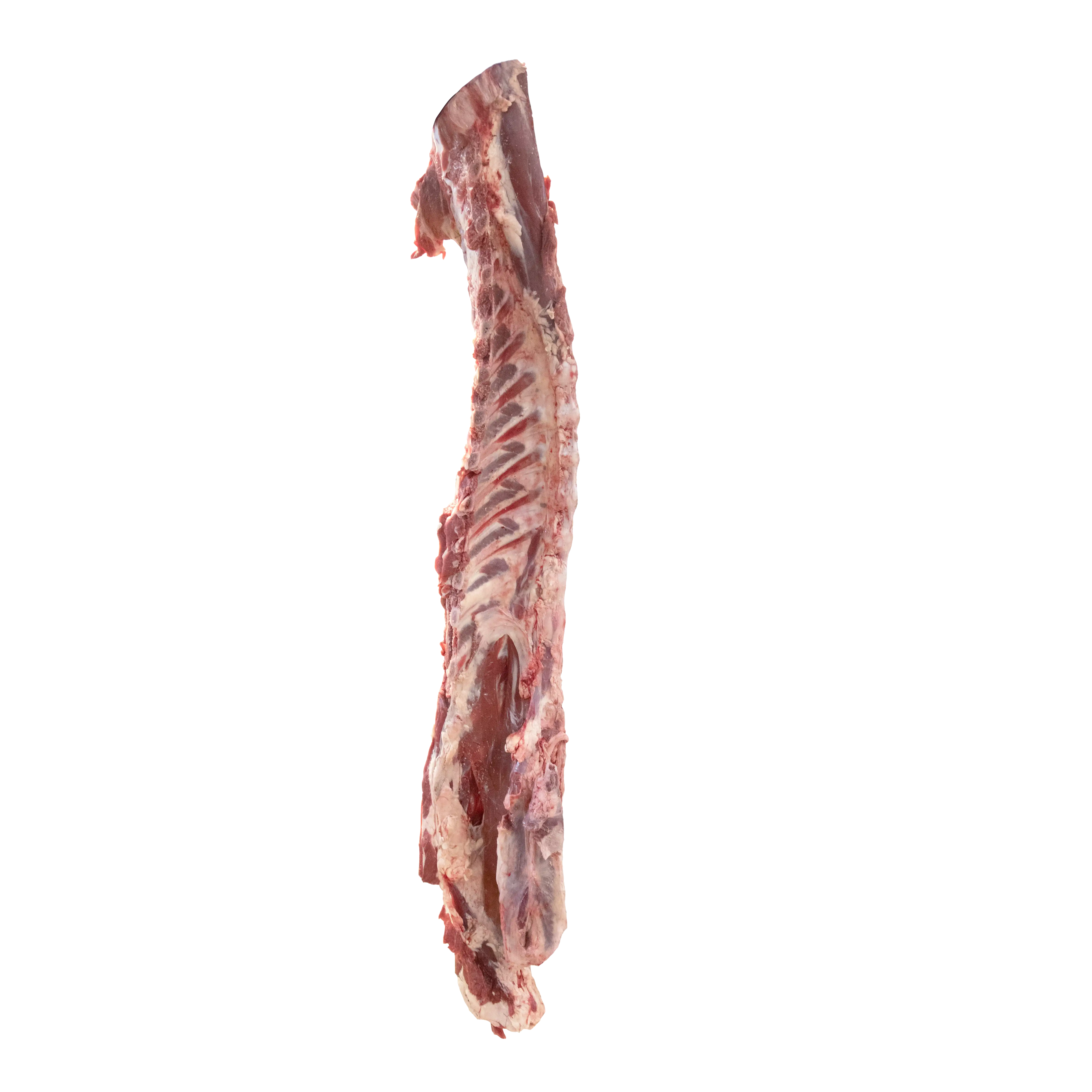 راسته با خس گوساله