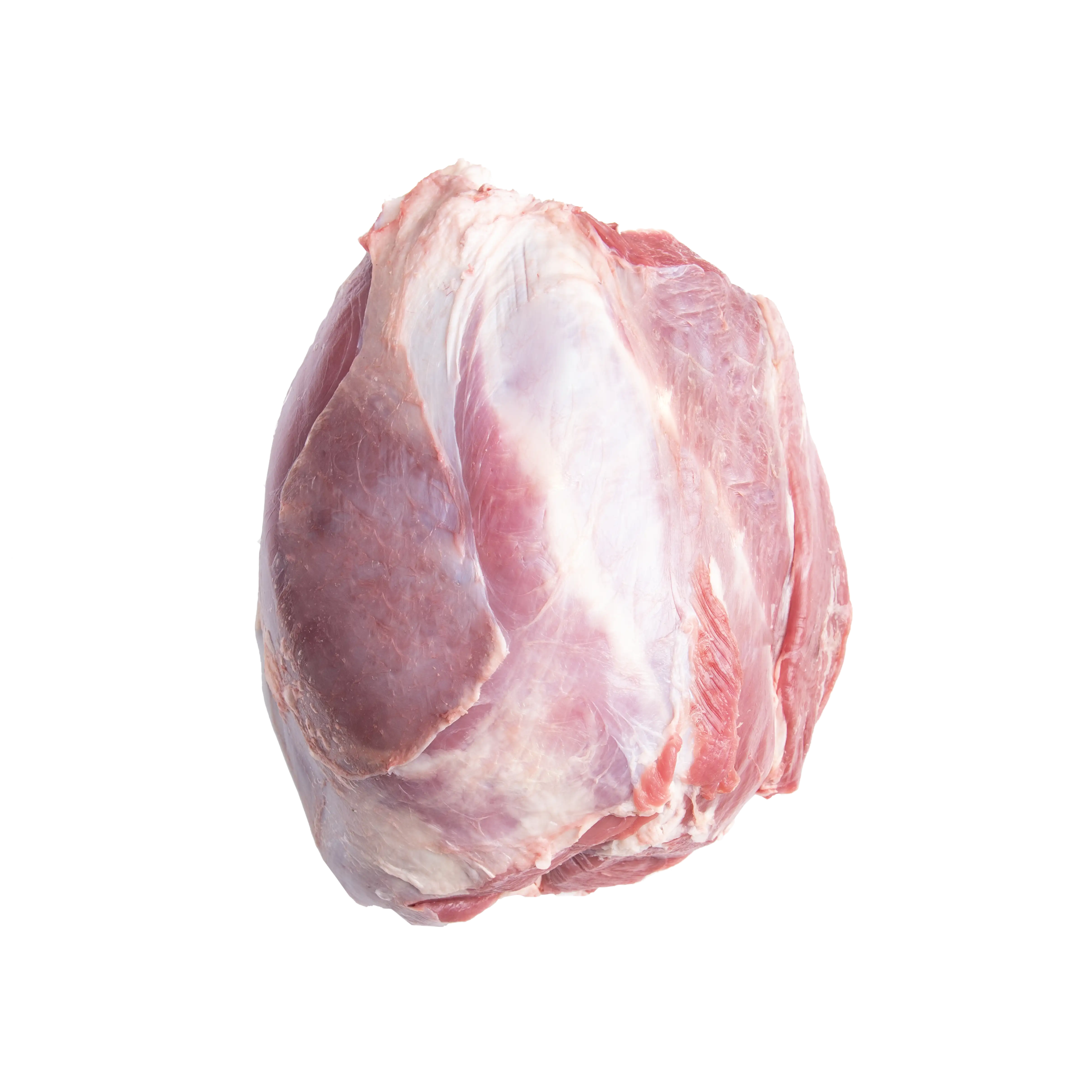 سردست ممتاز گوساله