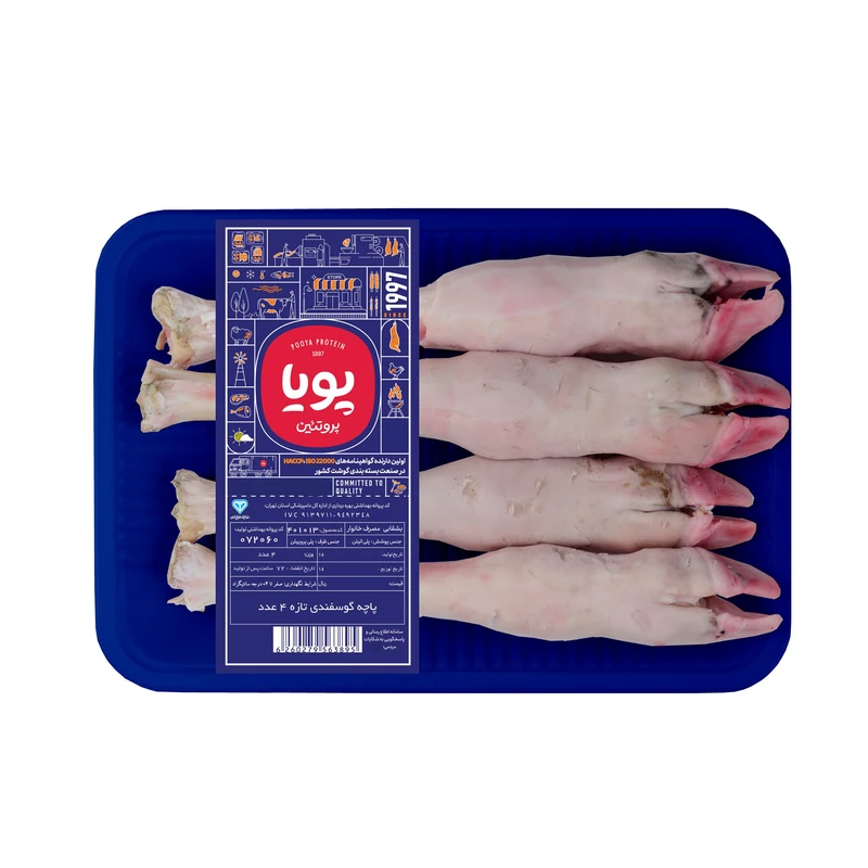 پاچه گوسفندي 4 تايي