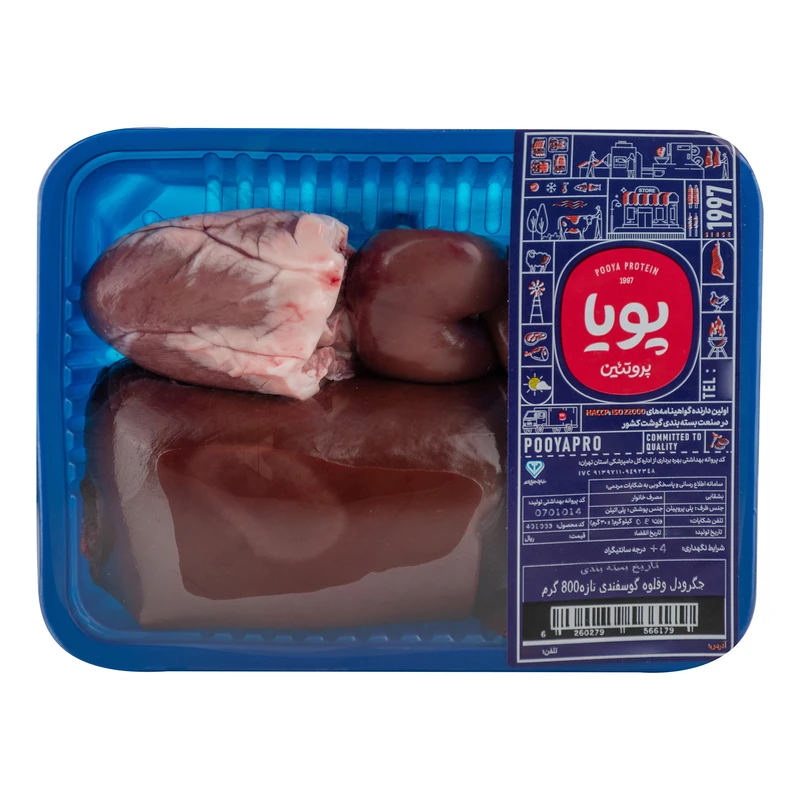 دل و جیگر