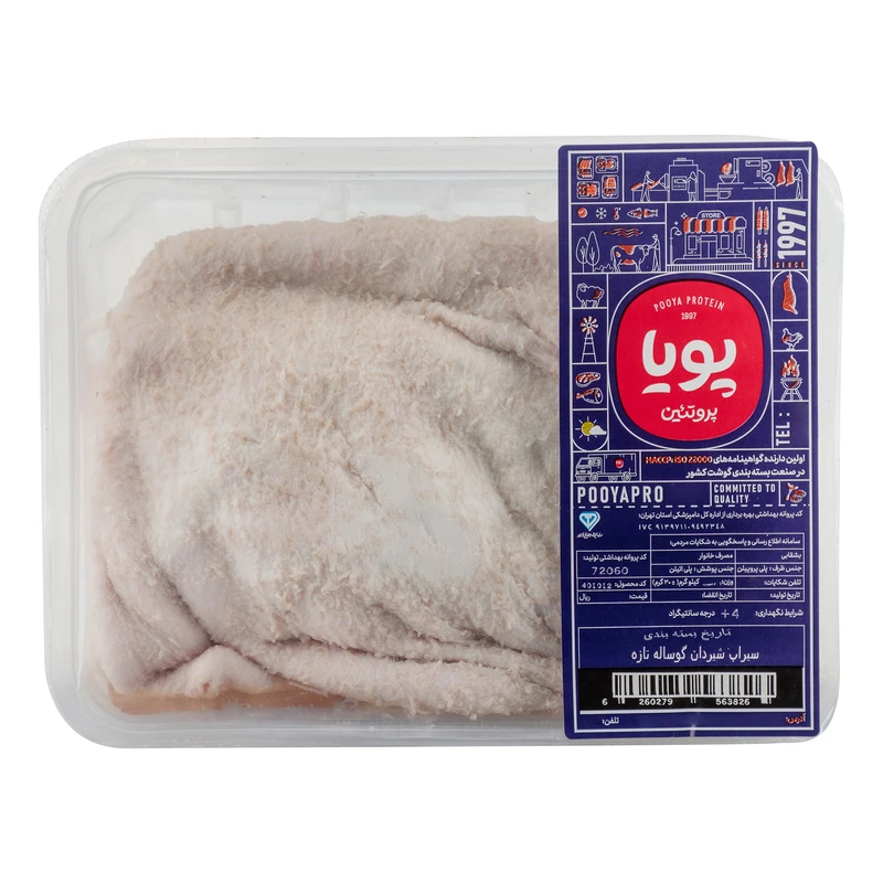 سيراب شيردان گوساله