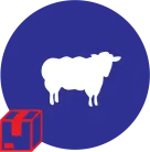Lamb Bulk